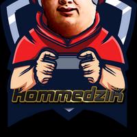 hommedzik's Twitch profile picture