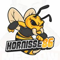 hornisse86's Twitch profile picture
