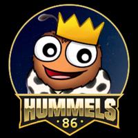 hummels86's Twitch profile picture