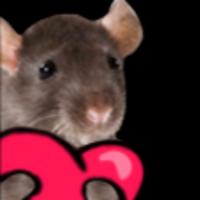 hyperrattv's Twitch profile picture