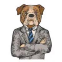iamtommyj's Twitch profile picture