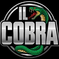 ilcobra's Twitch profile picture