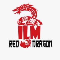 ilm_reddragon's Twitch profile picture