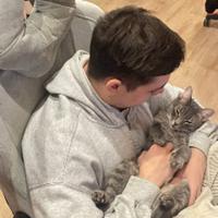 imgritside's Twitch profile picture
