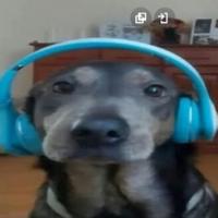 impo21's Twitch profile picture