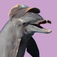 itsdolph1n's Twitch profile picture