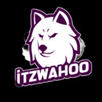 itzwahoo's Twitch profile picture