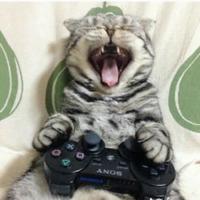 jacoeb's Twitch profile picture