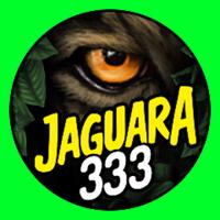 jaguara333's Twitch profile picture