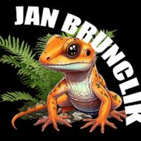 janbrunclik's Twitch profile picture