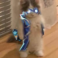 jayturtl's Twitch profile picture