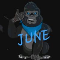 jun2turnt's Twitch profile picture