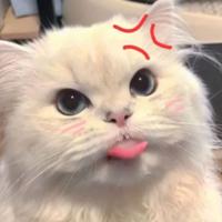 jxstkidinq's Twitch profile picture