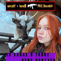 kaitomadnes's Twitch profile picture