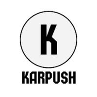 karpushtv's Twitch profile picture