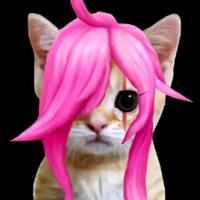 katevolved's Twitch profile picture