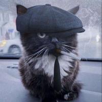 kawa_6666's Twitch profile picture