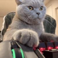 kbmrapid's Twitch profile picture