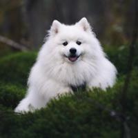 kenon__'s Twitch profile picture