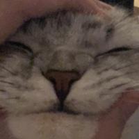 kenvlrt0823's Twitch profile picture