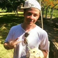 kevinwc3's Twitch profile picture