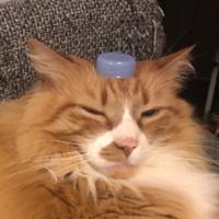 khhhm's Twitch profile picture