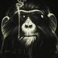 kimasy's Twitch profile picture