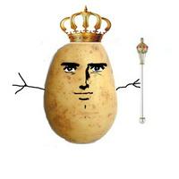 kingpotato_23's Twitch profile picture