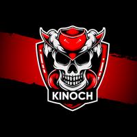 kinochr6's Twitch profile picture