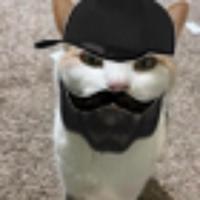 kjjk12431's Twitch profile picture