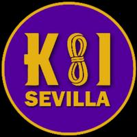 koisevilla's Twitch profile picture