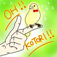 kotori628's Twitch profile picture