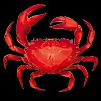 krabiksodna's Twitch profile picture