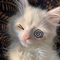 kristinmaiden's Twitch profile picture