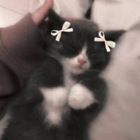 ks_grand's Twitch profile picture