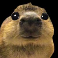 lambardi20's Twitch profile picture