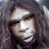 lamit228's Twitch profile picture