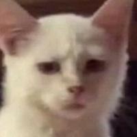 landsberk's Twitch profile picture
