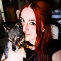laurhye's Twitch profile picture