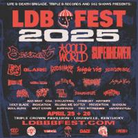 ldbfest's Twitch profile picture