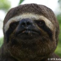 le_perry's Twitch profile picture