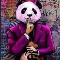 lecksol's Twitch profile picture
