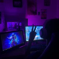 leeoloos's Twitch profile picture