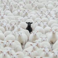 lekosav's Twitch profile picture
