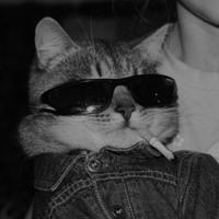 letricaaaas's Twitch profile picture
