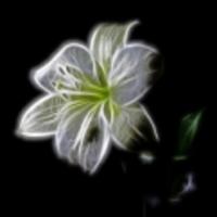 leylinplaysgames's Twitch profile picture