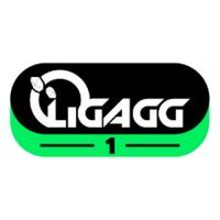 ligagg_'s Twitch profile picture