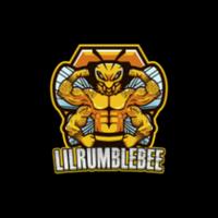 lilrumblebee's Twitch profile picture