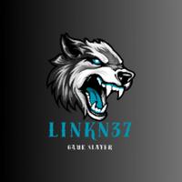 linkn37's Twitch profile picture