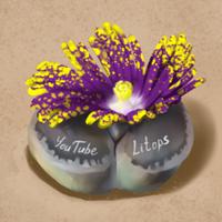 lithops_s's Twitch profile picture